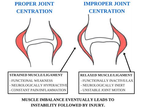 Natural Performance Rehab: The Power of Joint Centration