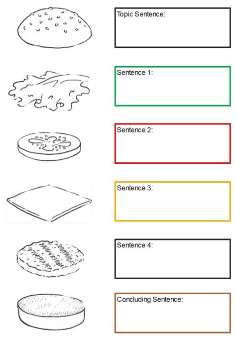 Free Editable Hamburger Paragraph Examples | EdrawMax Online