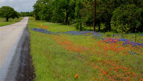 15 Great Bike Trails in the Hill Country