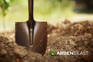 What Are The Different Types of Shovels & Their Uses?