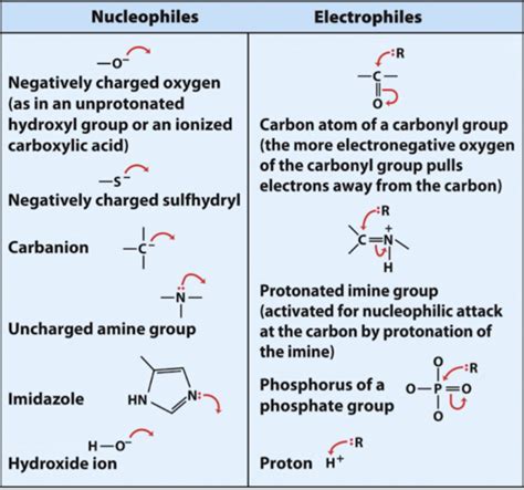 Saccharide Chemistry Flashcards | Quizlet