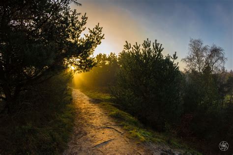 Sunrise Path by William Mevissen / 500px | Scenery, Sunrise, Nature photography