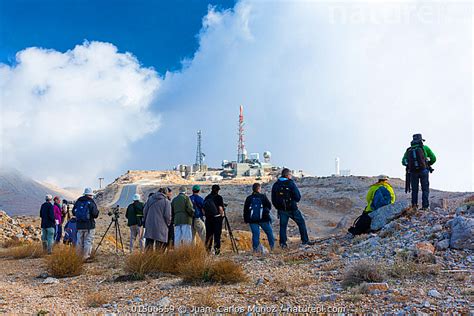 Stock photo of Birdwatching group, Mount Hermon, Israel, November, 2014 ...