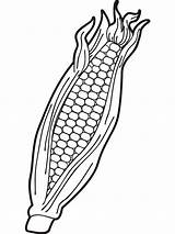 Corn On Cob Template Sketch Coloring Page sketch template