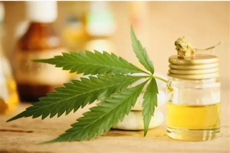 Thc Oil Recipes - Marijuana Beginners