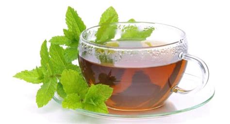 Suffering from an upset stomach? Drink peppermint tea | TheHealthSite.com