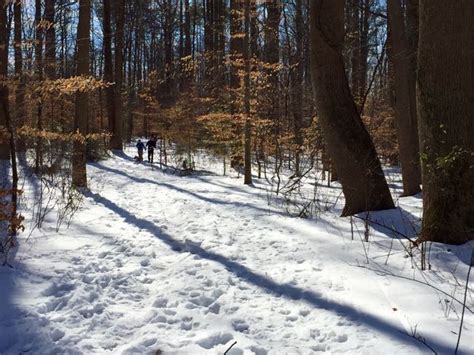 Burke Lake Park Outdoor Fun in Northern Virginia