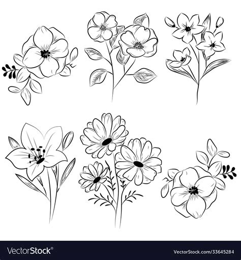 Flowers drawing with line-art on white backgrounds