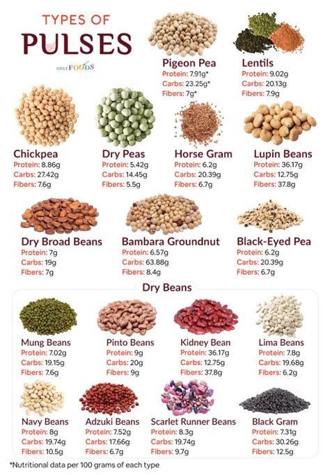 List of Different Types of Pulses With Pictures