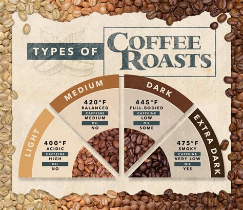 Roast Profiles and Flavor Development: Unveiling the Science of Coffee | Home Roasting Supplies