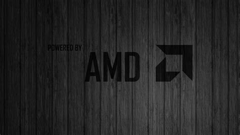 Radeon, AMD, logo, HD Wallpaper | Rare Gallery