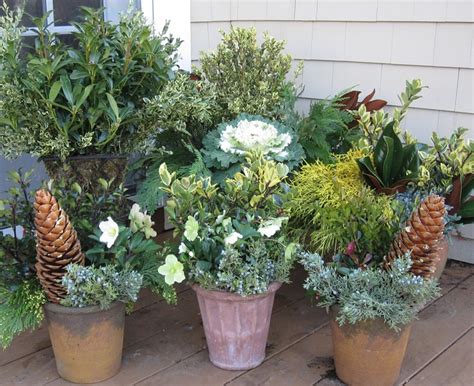 38 best Winter Flower Pots images on Pinterest | Gardening, Container ...