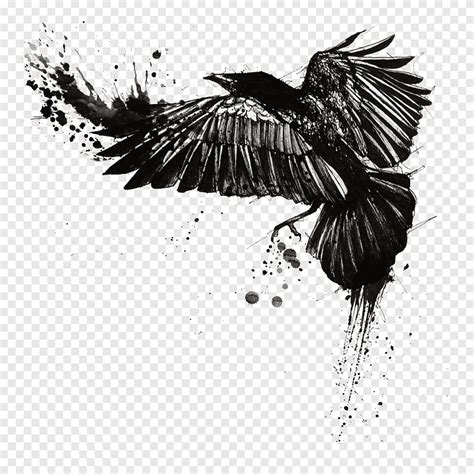 Tattoo Common raven Trash Polka Crow, raven, ink, animals png | PNGEgg