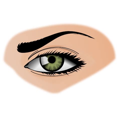 Brown Eyes Transparent Images | PNG Arts