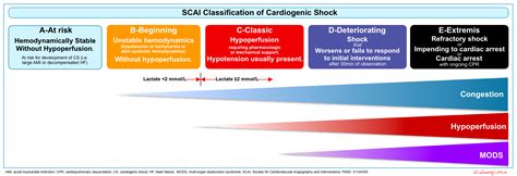 Cardiogenic Shock | RECAPEM