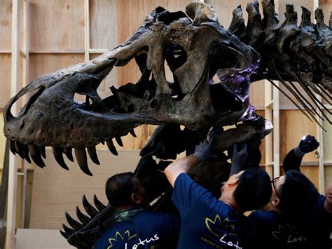 Christie's calls off T. rex skeleton auction after questions raised | Vancouver Sun