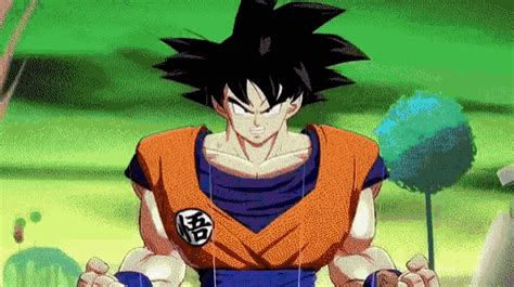 Goku Super Saiyan God Transformation Gif