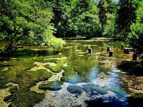 Private Tour from Sarajevo: Vrelo Bosne Nature Park | GetYourGuide