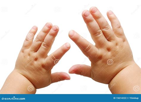 Children s hands stock photo. Image of female, hold, isolated - 15614222