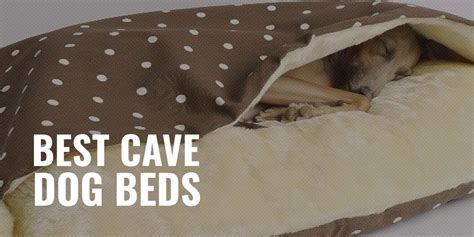 10 Best Cave Dog Beds – Cozy Material, Size, Reviews & FAQs