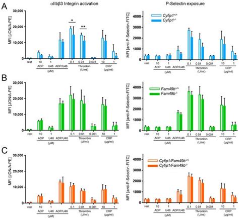 Cells | An Open Access Journal from MDPI