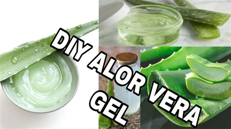 HOW TO MAKE ALOE VERA GEL / DIY 100% pure | homemade aloe vere gel - YouTube