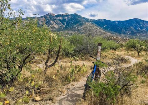 Five2Ride: The Best Bike Trails near Tucson, AZ - Singletracks Mountain Bike News