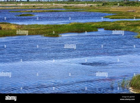 Estuary brackish water hi-res stock photography and images - Alamy