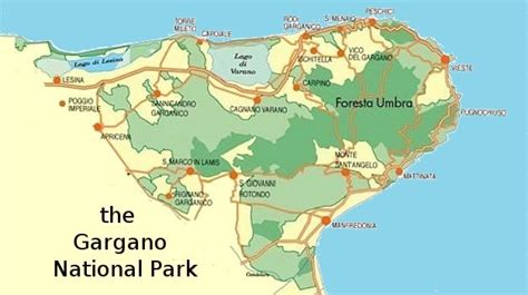 Gargano National Park, Italy - Physical Geography of Global Parks ...