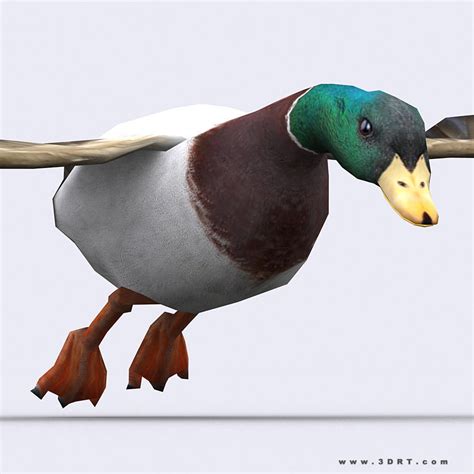 3DRT - Duck 3D Model Game ready animated rigged - CGTrader.com