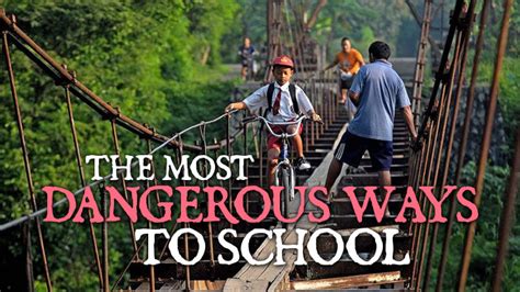 The Most Dangerous Ways To School – WorkLizard