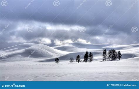 HAYDEN VALLEY WINTER stock image. Image of winter, park - 176832503