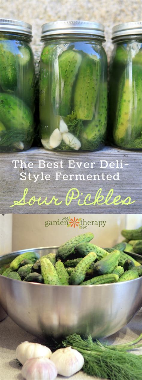 The Best Ever Deli-Style Sour Pickles Recipe. Ever. Seriously. - Garden ...