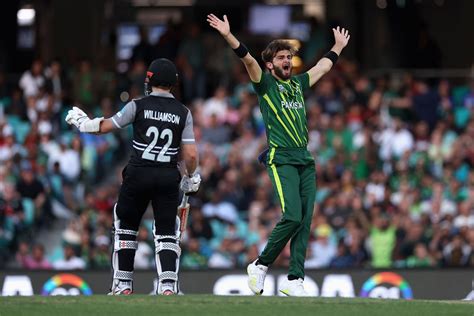 PAK vs NZ 2023 Telecast Channel: Where to watch Pakistan vs New Zealand ...