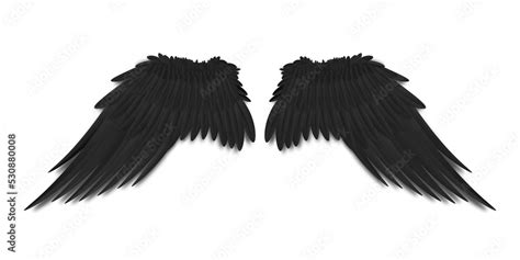 Black bird or dark angel wings with realistic feathers from back view isolated. illustration of ...