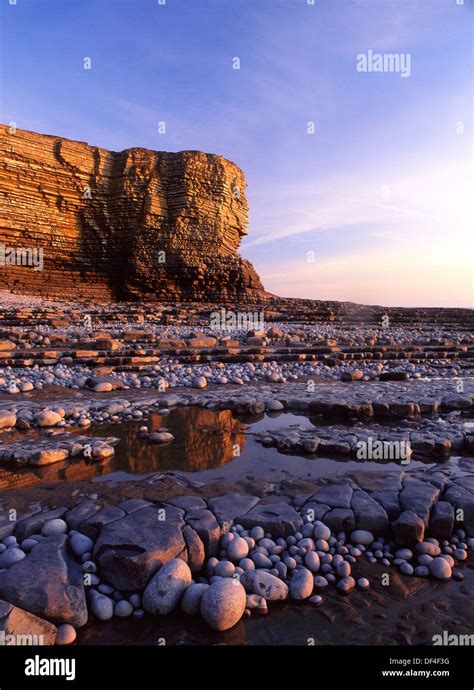 Nash Point cliffs and wave-cut platforms Vale of Glamorgan Heritage Coast Near Marcross South ...