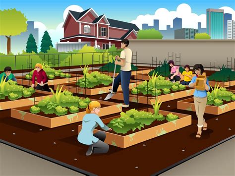 The real value of urban farming. (Hint: It's not always the food.) - Vox