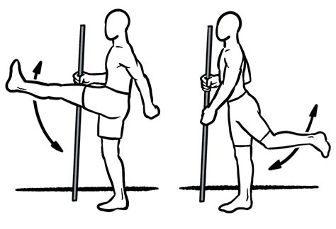 Leg swings: flexion and extension – exer-pedia