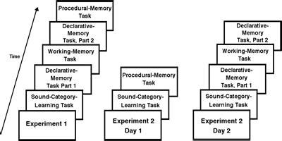 Frontiers | Procedural-Memory, Working-Memory, and Declarative-Memory Skills Are Each Associated ...