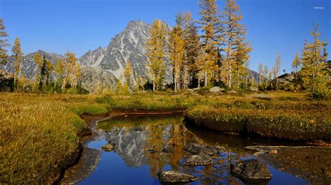 Autumn trees in the rocky mountains wallpaper - Nature wallpapers - #46177