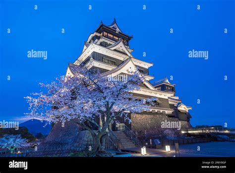 Kumamoto Castle and cherry blossoms Stock Photo - Alamy