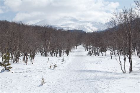 Winter activities in Shiretoko National Park (Hokkaido) | SELECTED ...