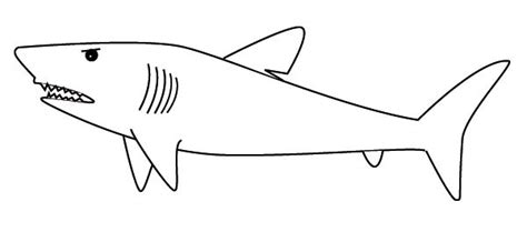 Shark Line Drawing