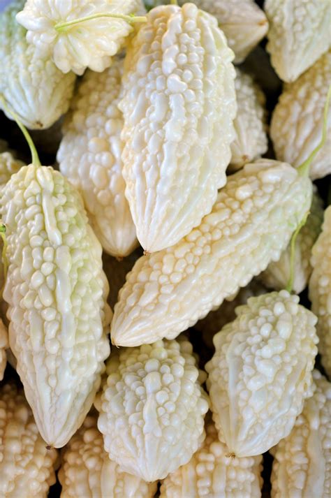 Exotic White Bitter Gourd Seeds for Planting 10 Seeds Rare | Etsy