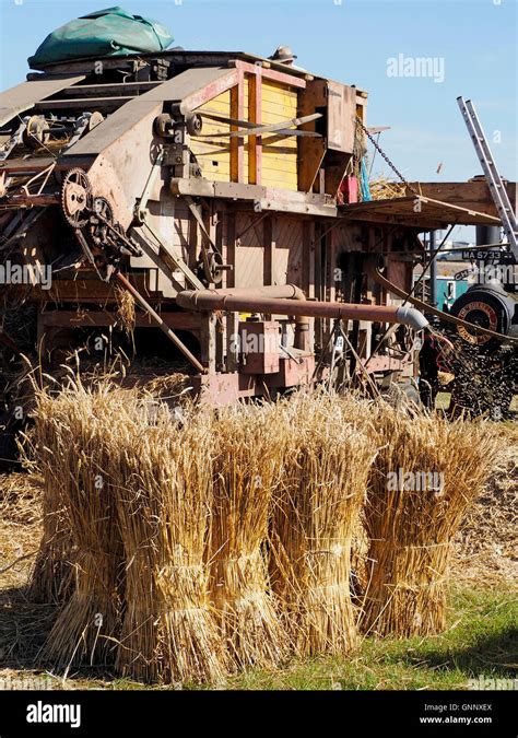 Threshing machine or simply thresher hi-res stock photography and ...