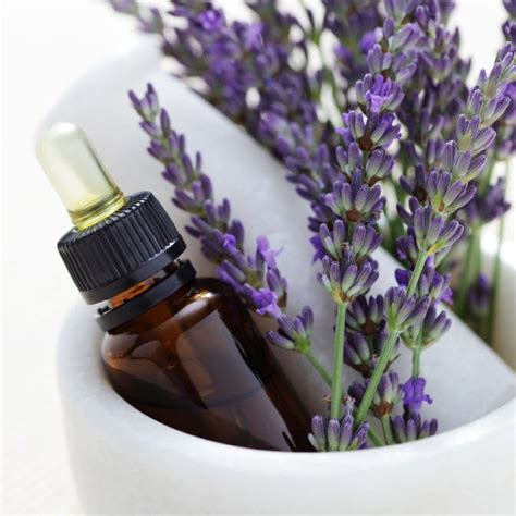 Aceite esencial de lavanda en la menopausia | Fitoterapia Naturismo