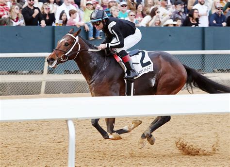 Imperial Gun Hits The Mark In Second Start At Oaklawn