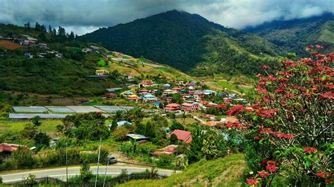 10 Best Hotels in Kundasang. Hotels from RM 33/night - KAYAK