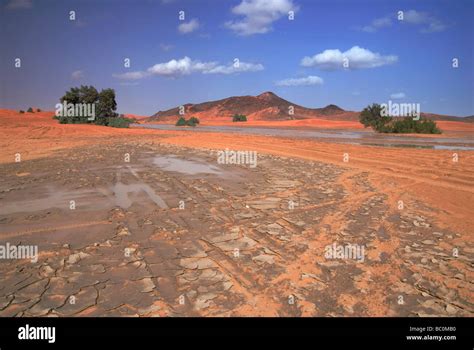 Rainfall washes through the Sahara desert near Merzouga Morocco North ...