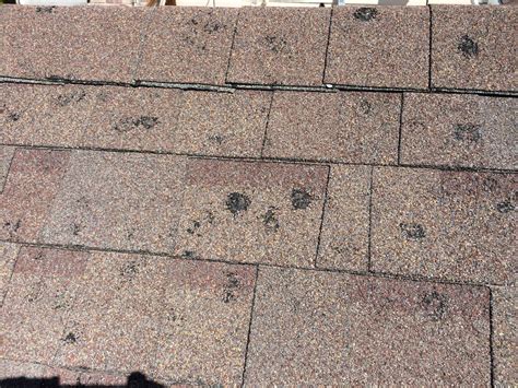 roof - Can hail-damaged shingles be repaired, or should they be replaced? - Home Improvement ...